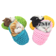 Coolayoung cat toy for teaching aids and classroom storytelling.