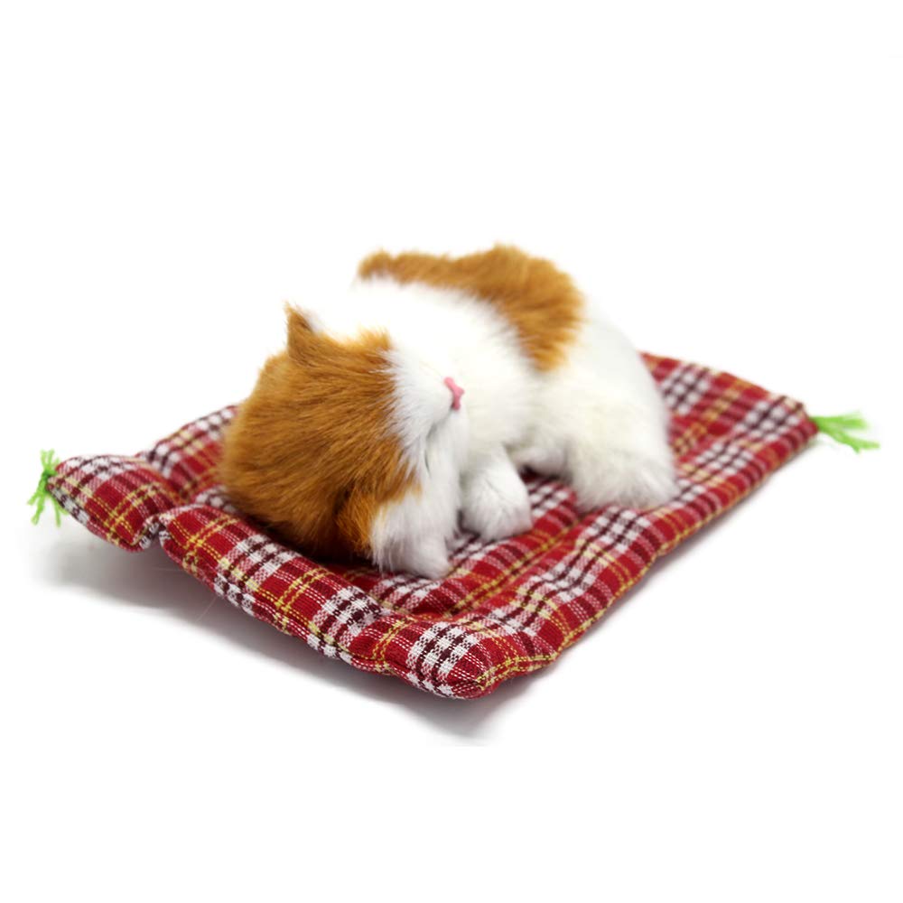 Coolayoung kids teaching storytime cat toy for imaginative play