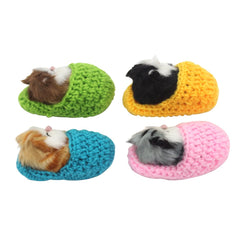Coolayoung mini kitten in shoe, compact decor for desks.