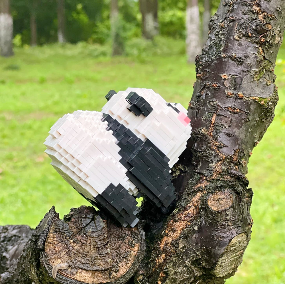 CoPlanaire Flower Panda decorative display brightens any corner