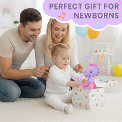 Coqin Seahorse bright visuals support attention and early exploration