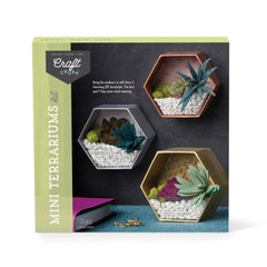 Craft Crush mini terrarium base pebbles for wall display