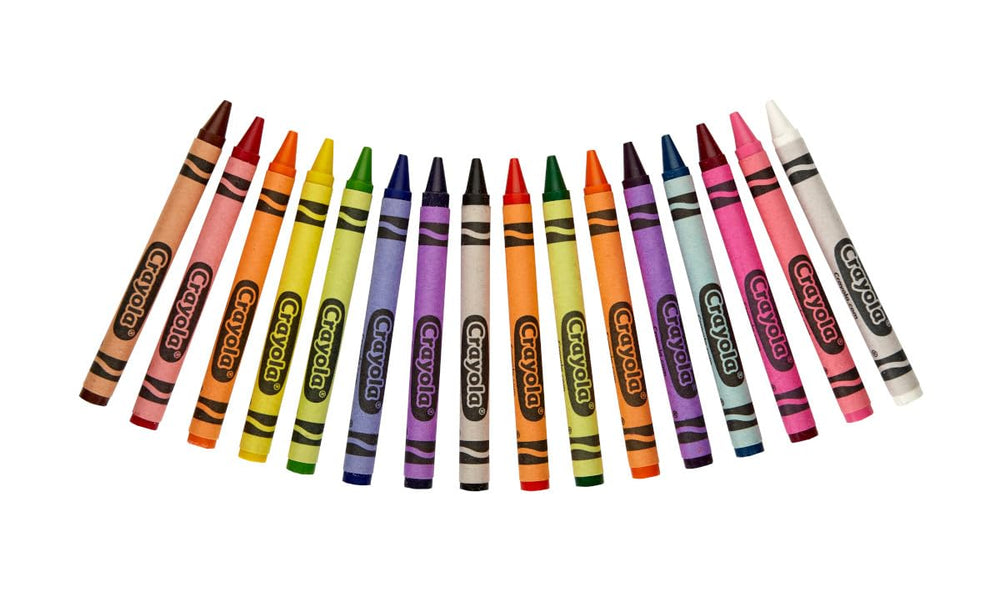 Organized storage box with color-separated sections for classroom efficiency.