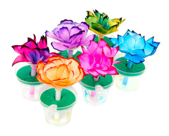 Crayola Paper Flower Science Kit refills with white coffee filters for ongoing fun.