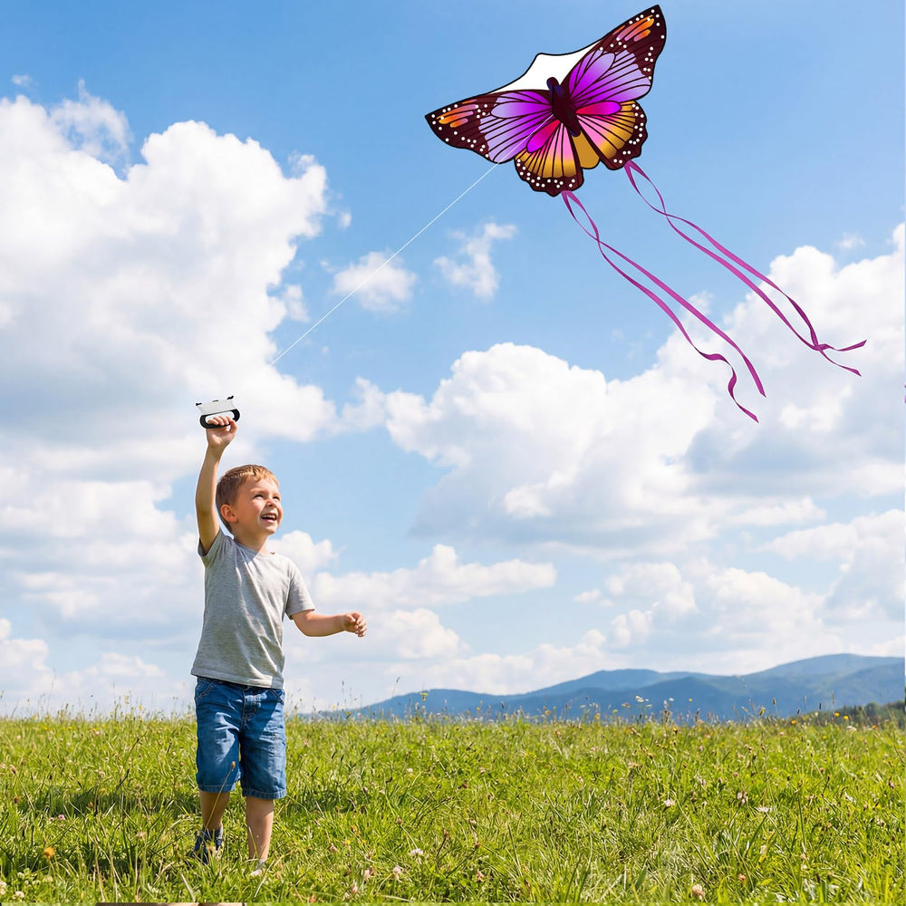 Crogift beach park outdoor fun kite session for family days