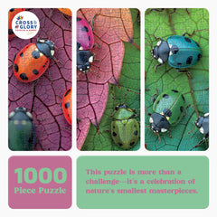 Cross & Glory close-up of ladybugs on leaves highlighting vibrant colors.