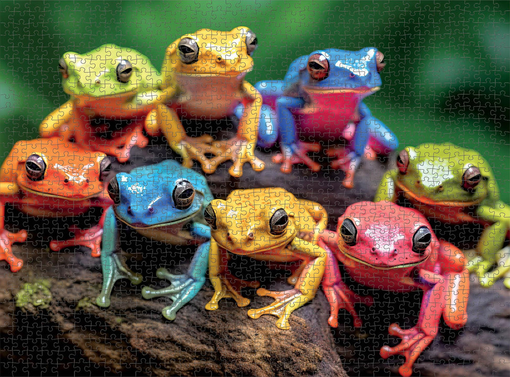 Cross & Glory Rainbow Ribbit green-orange-yellow frogs against lush backdrop