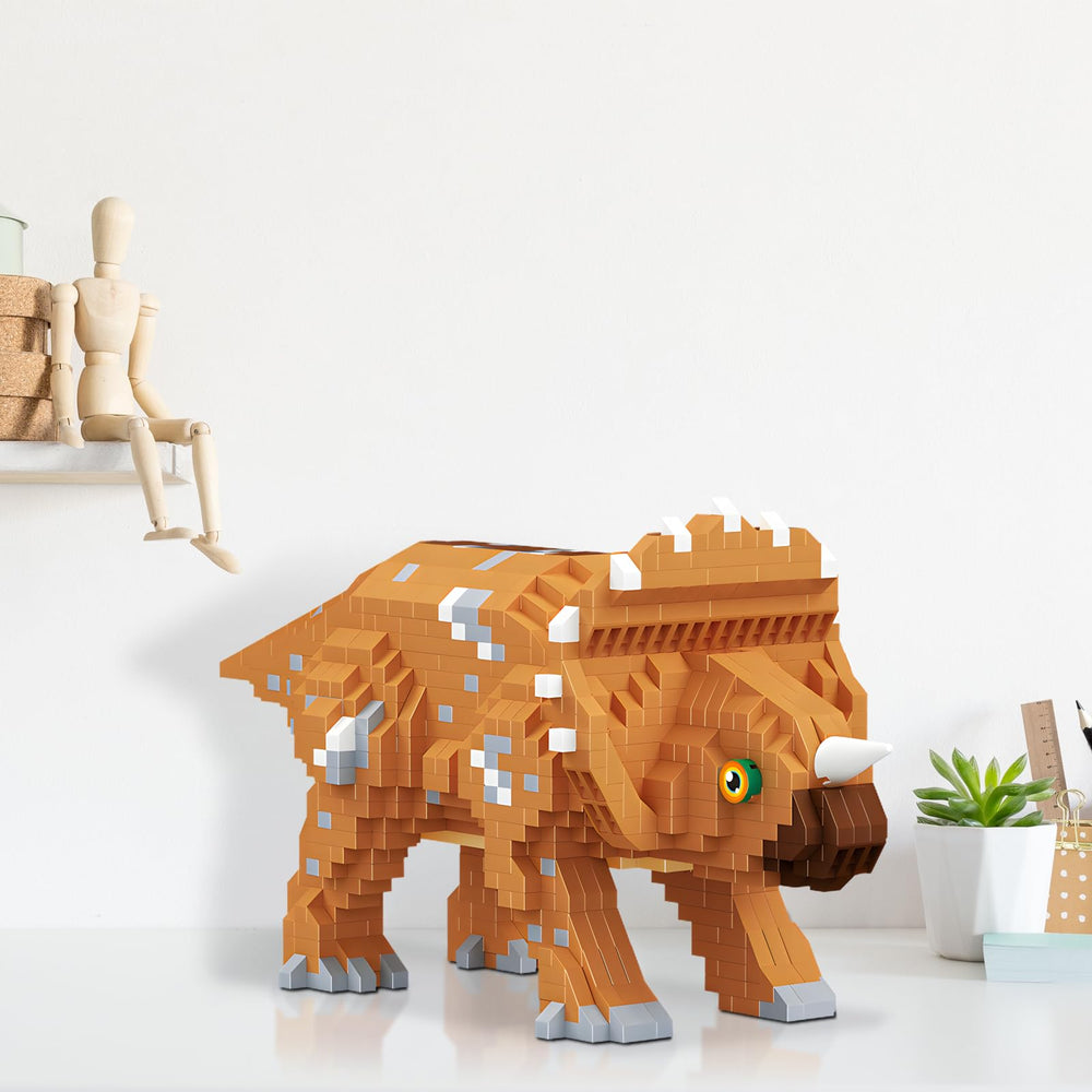 CSNRHG Step-by-step assembly cues encourage hands-on creativity.