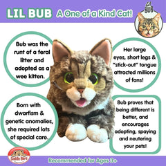 Lil Bub sitting plush from Cuddle Barn, kid-friendly companion for storytelling.