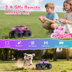 Dafotil RC car remote control 2.4GHz for responsive racing