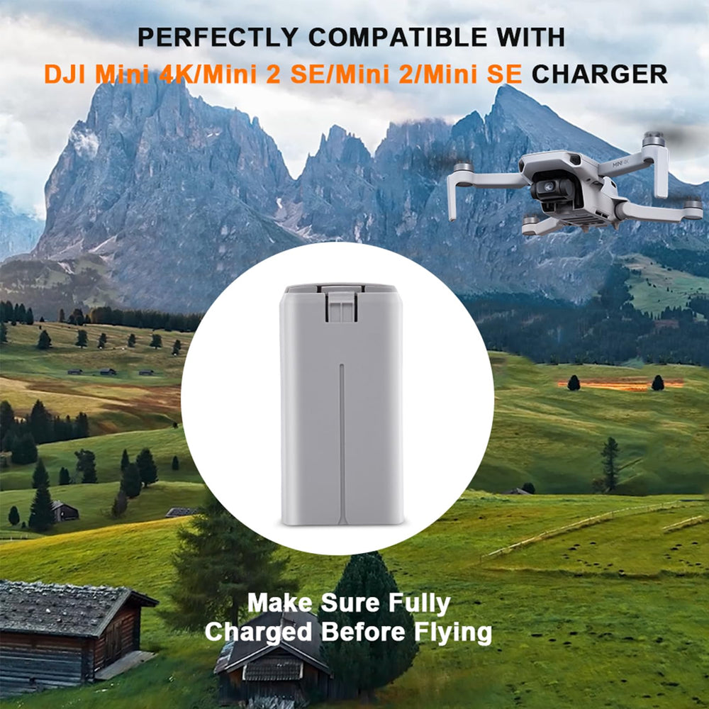 Dalkat Dalee packaging includes one intelligent flight battery for DJI Mini.
