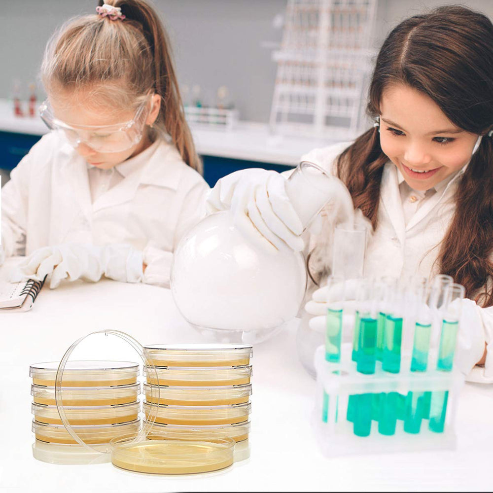 DalosDream science project guide provides clear steps for budding scientists.