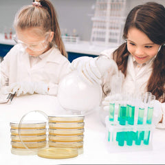DalosDream science project guide provides clear steps for budding scientists.