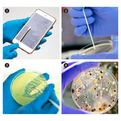 DalosDream sterile cotton swabs ideal for safe sample collection.
