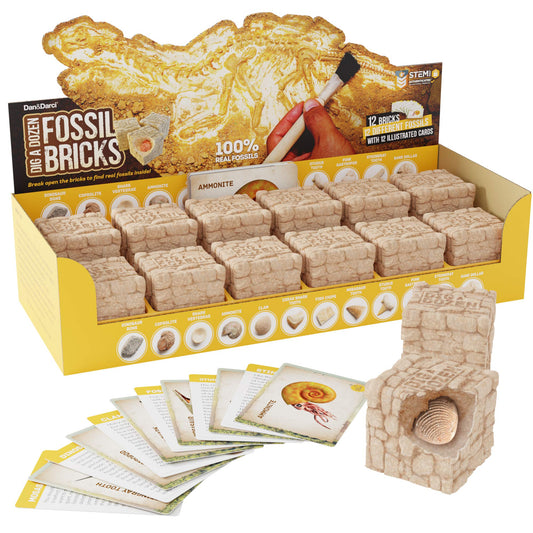 Dan&Darci fossil bricks provide a hands-on excavation experience for aspiring paleontologists.