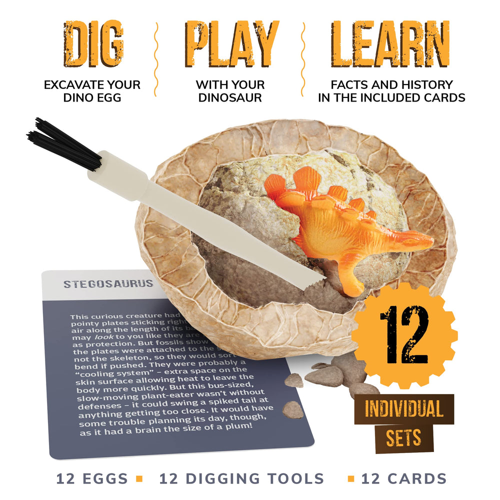 Dan&Darci 12 dino eggs with excavation tools for hands on learning