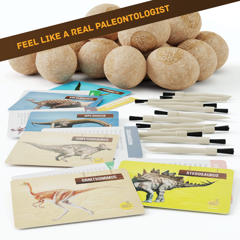 Dan&Darci collection of 12 dino models for imaginative play