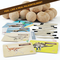 Dan&Darci collection of 12 dino models for imaginative play