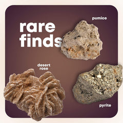 Dan-Darci fossil display case keeps specimens organized and visible.