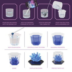 Dan&Darci seven growing cups for multiple crystal projects.
