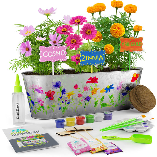 Dan&Darci paint-and-plant planter personalized for creative garden art.