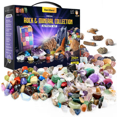 Dan-Darci bulk rock collection for hands-on geology learning.