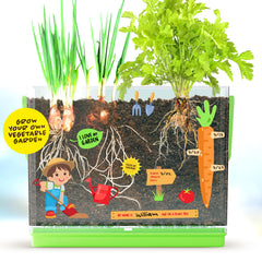 Dan&Darci root-viewer indoor gardening kit makes science accessible indoors.