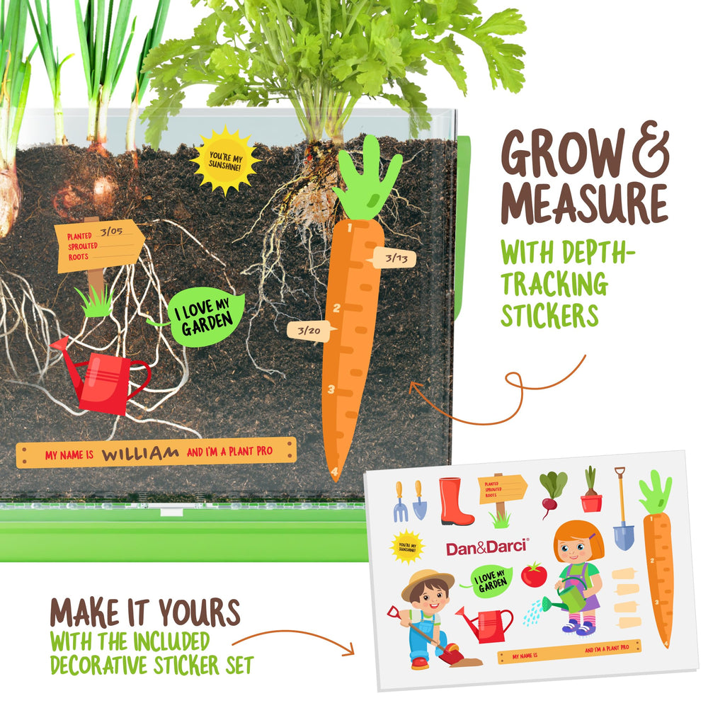 Dan&Darci root-viewer soil included supports easy planting and germination.
