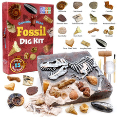 DANCING BEAR at-home paleontology lab setup sparks imaginative play.