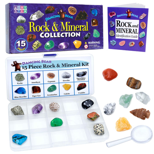 DANCING BEAR 15pc rock collection in a display case for organized, hands-on study.