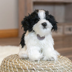 DEMDACO Havanese dog plush features soft fabric and lifelike accents for gentle snuggles.