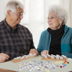 Demteric beginner-friendly booklet helps new players learn rules.