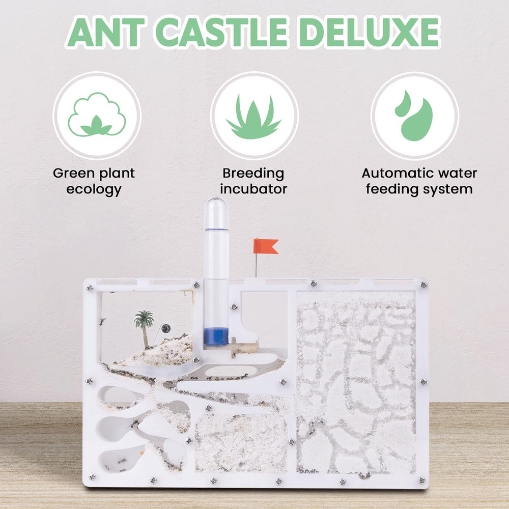 DigNew ant habitat castle interior with separate nursery and feeding zones for observation