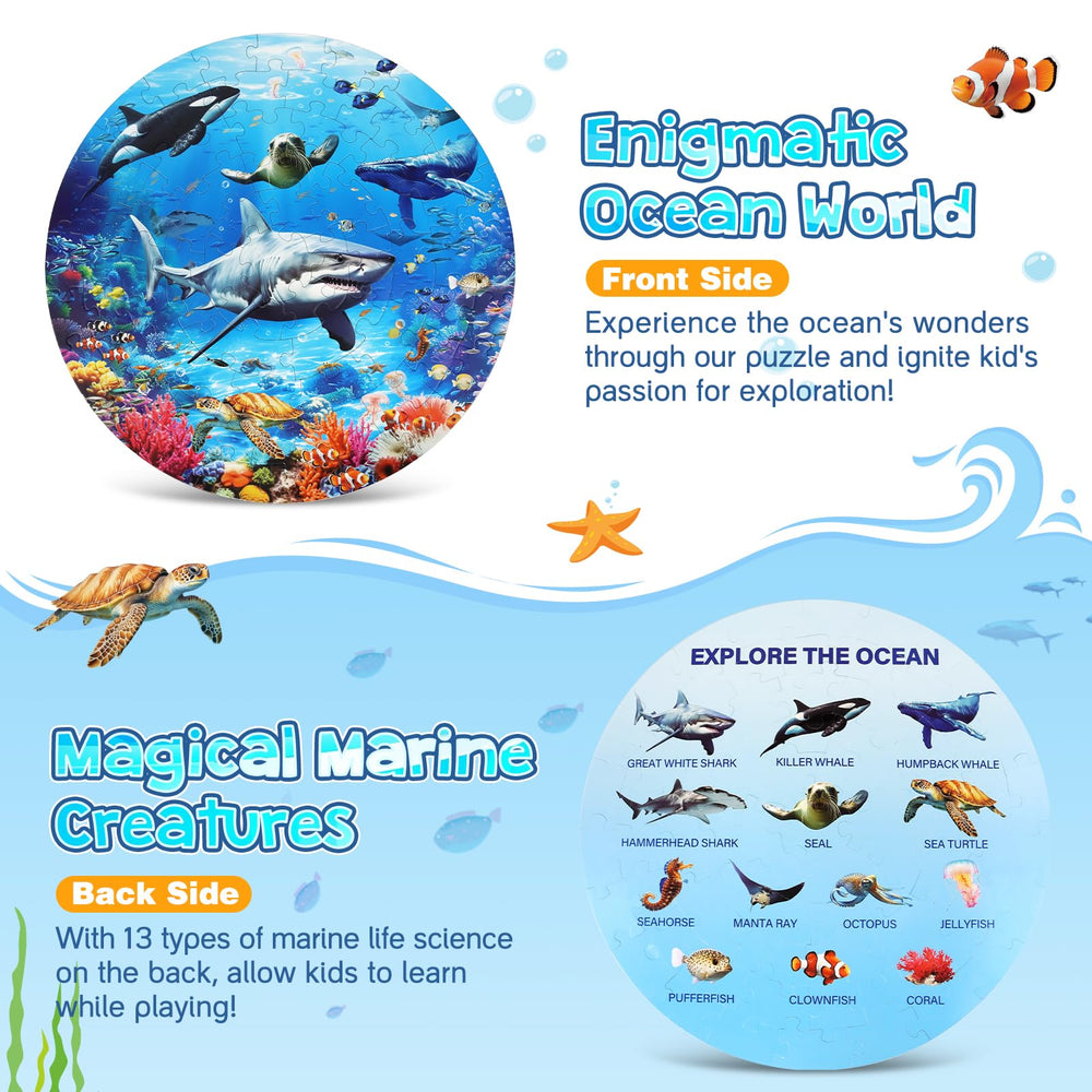 DIGOBAY backside educational marine life chart adds simple science context