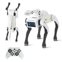 Dingdongwu Robot Dog front view emphasizes durable, kid-friendly build.