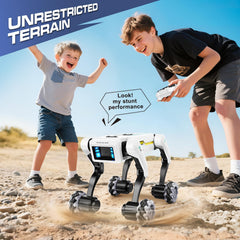 Dingdongwu Robot Dog fosters STEM learning through interactive play.