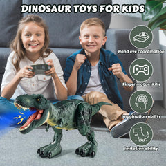 DINOSAURS'ISLAND TOYS Tyrannosaurus RC made from durable non-toxic ABS plastic.