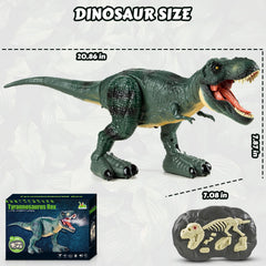 DINOSAURS'ISLAND TOYS Tyrannosaurus RC supports imaginative and educational play.