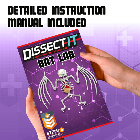 Dissect-It Bat plastic tools enable precise, mess-free dissections.