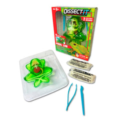 Dissect It frog dissection model for safe hands-on anatomy learning.
