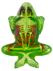 Dissect-It online learning plan supports guided STEM activities