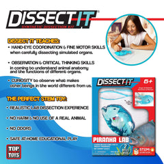 Dissect-It Piranha squishy carving close-up for satisfying, odor-free practice