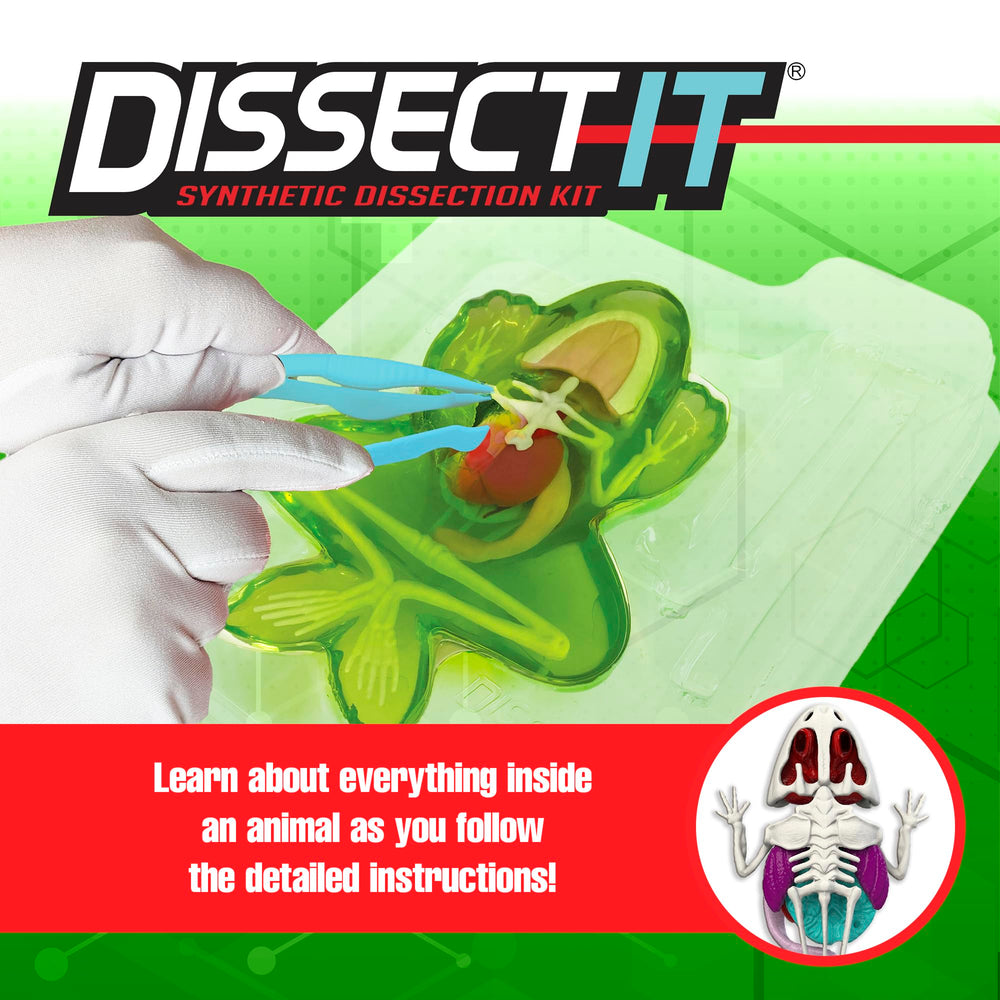 Dissect It plastic dissection tools ideal for precise, mess-free experiments.