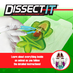 Dissect It plastic dissection tools ideal for precise, mess-free experiments.