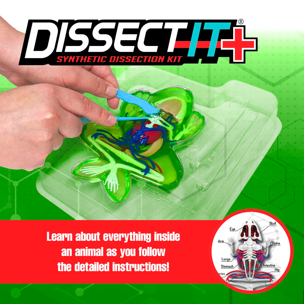 Dissect-It Plus Frog organs layout highlighting internal systems