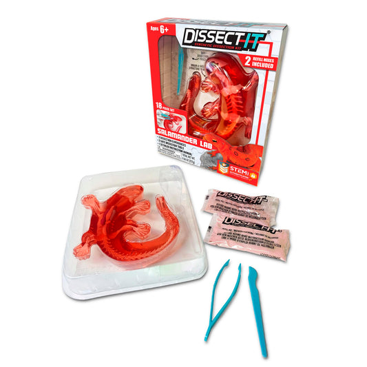 Dissect-It Salamander kit box ready for safe at-home biology exploration