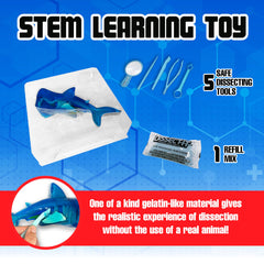 Dissect-It lab table and five tools support repeatable, classroom-ready dissections