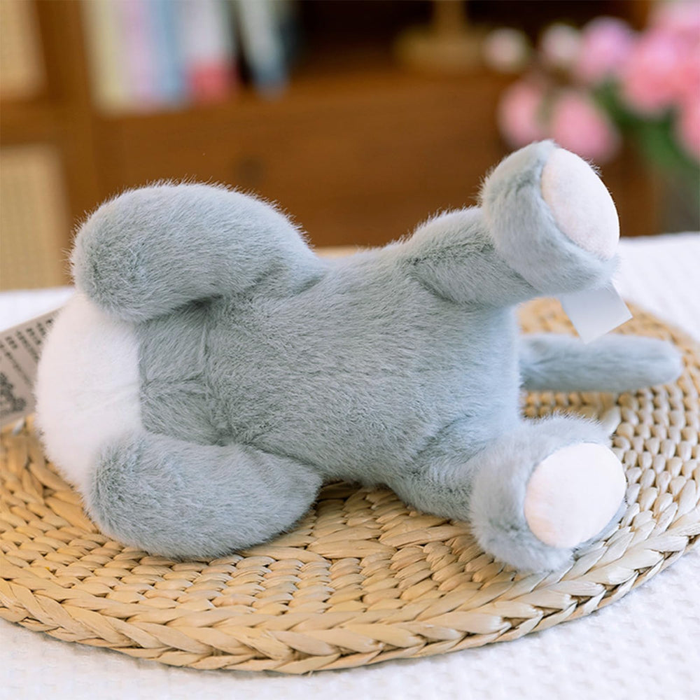 Ditucu cat plush gift-ready packaging for cat lovers