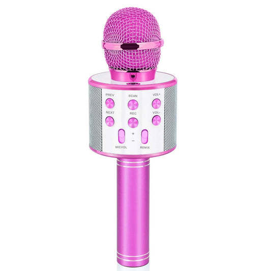 Dodosky purple karaoke microphone front view, ideal for kids' stage play