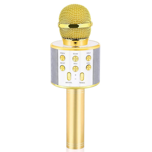 Dodosky gold kids karaoke microphone on stage for playful performances